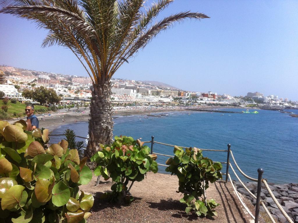 Paraiso Del Palm Mar Экстерьер фото